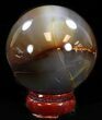 Polished Brazilian Agate Sphere #37602-2